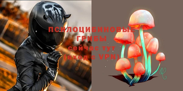 стаф Санкт-Петербург