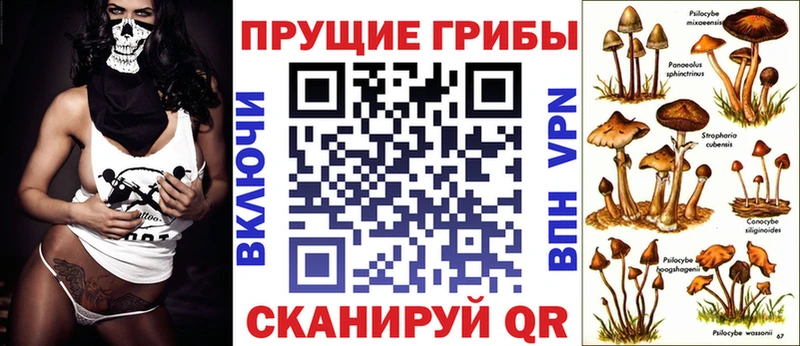 гидра зеркало Приозерск Псилоцибиновые грибы GOLDEN TEACHER